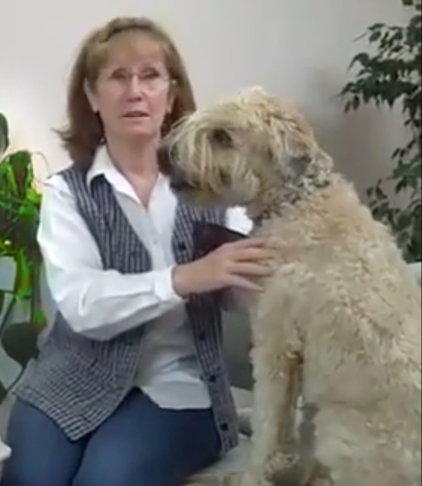 Vétérinaire Coppet, Veterinaire Coppet, Coppet Veterinaire, Coppet Vétérinaire, cabinet vétérinaire Coppet, cabinet veterinaire Coppet, clinique vétérinaire Coppet, vétérinaire de Garde Coppet,veterinaire de Garde Coppet, Cabinet Vétérinaire International