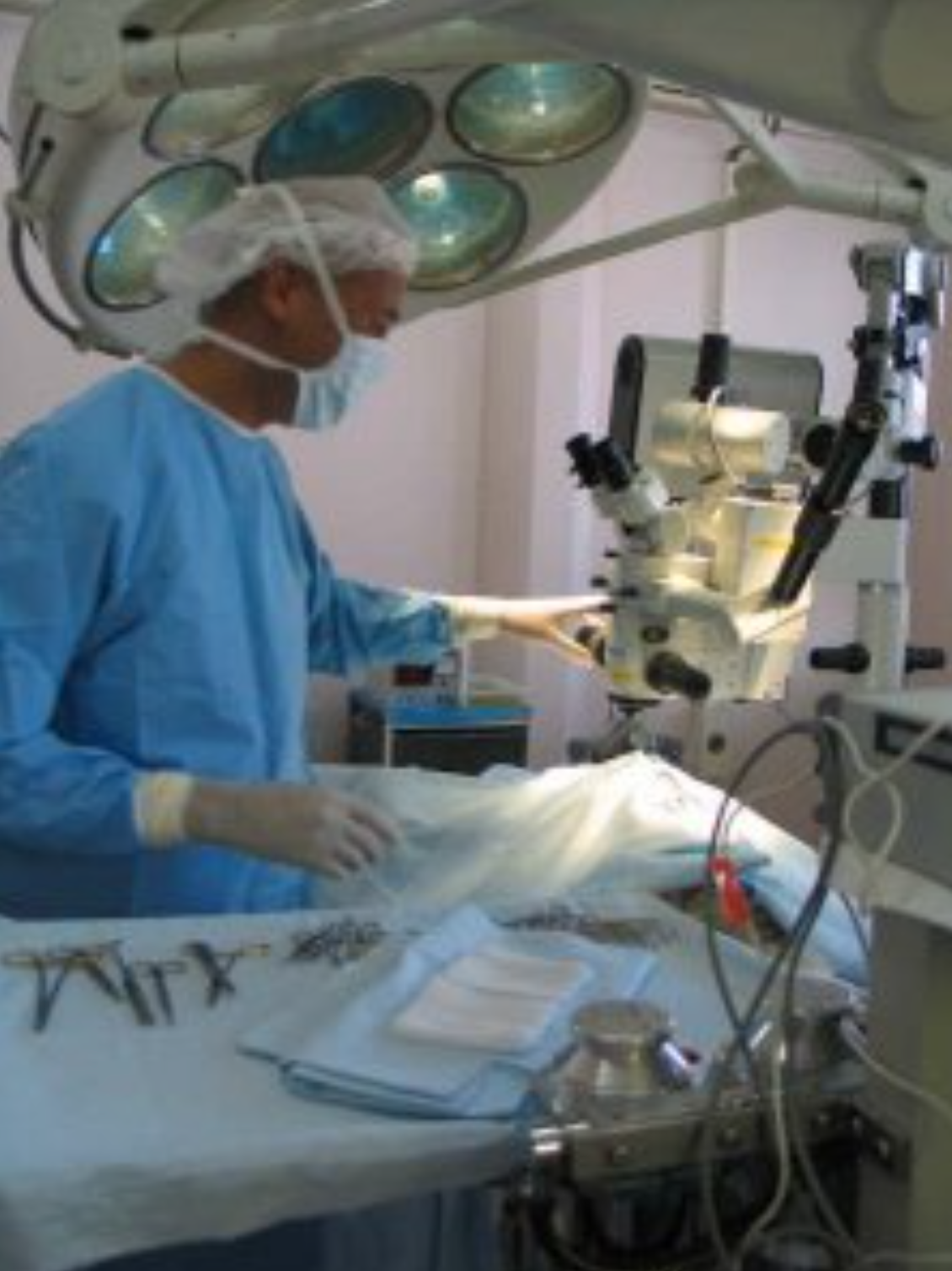 Dr. Omaboe, Vétérinaire Coppet, Veterinaire Coppet, Coppet Veterinaire, Coppet Vétérinaire, cabinet vétérinaire Coppet, cabinet veterinaire Coppet, clinique vétérinaire Coppet, vétérinaire de Garde Coppet,veterinaire de Garde Coppet, Cabinet Vétérinaire International