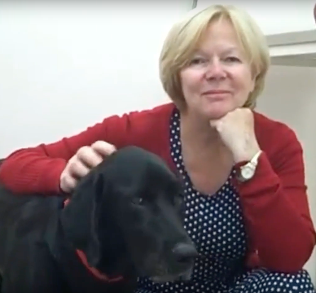 Labrador, Vétérinaire Coppet, Veterinaire Coppet, Coppet Veterinaire, Coppet Vétérinaire, cabinet vétérinaire Coppet, cabinet veterinaire Coppet, clinique vétérinaire Coppet, vétérinaire de Garde Coppet,veterinaire de Garde Coppet, Cabinet Vétérinaire International