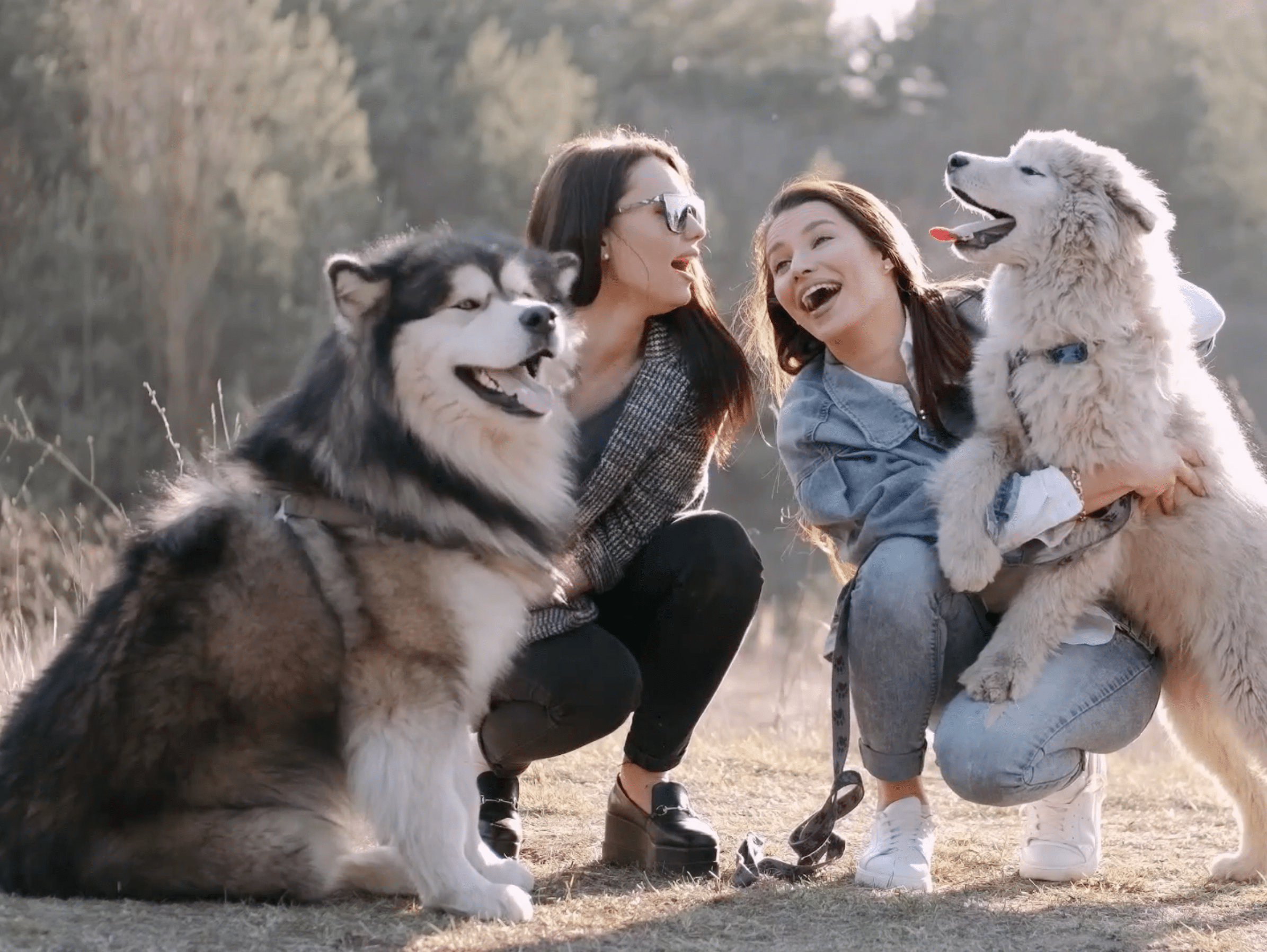 Vétérinaire Coppet, Veterinaire Coppet, Coppet Veterinaire, Coppet Vétérinaire, cabinet vétérinaire Coppet, cabinet veterinaire Coppet, clinique vétérinaire Coppet, vétérinaire de Garde Coppet,veterinaire de Garde Coppet, Cabinet Vétérinaire International