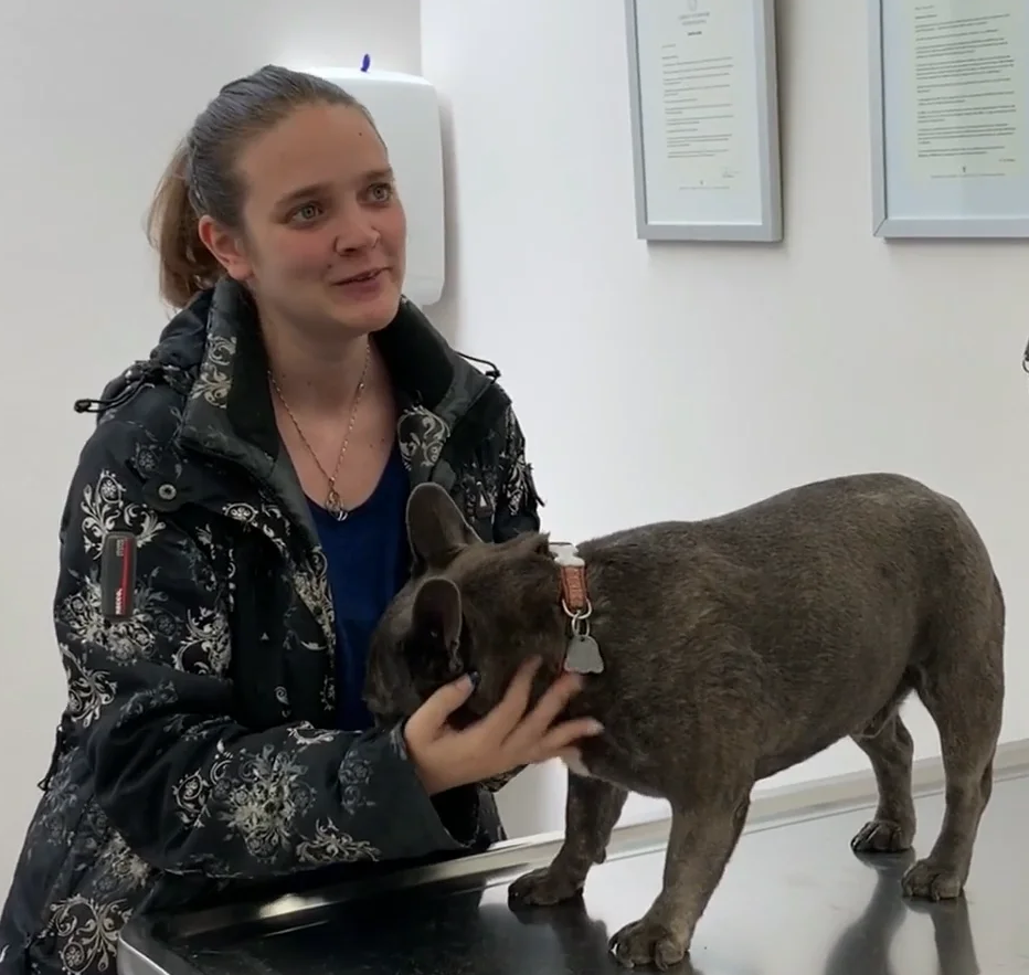 Vétérinaire Coppet, Veterinaire Coppet, Coppet Veterinaire, Coppet Vétérinaire, cabinet vétérinaire Coppet, cabinet veterinaire Coppet, clinique vétérinaire Coppet, vétérinaire de Garde Coppet,veterinaire de Garde Coppet, Cabinet Vétérinaire International