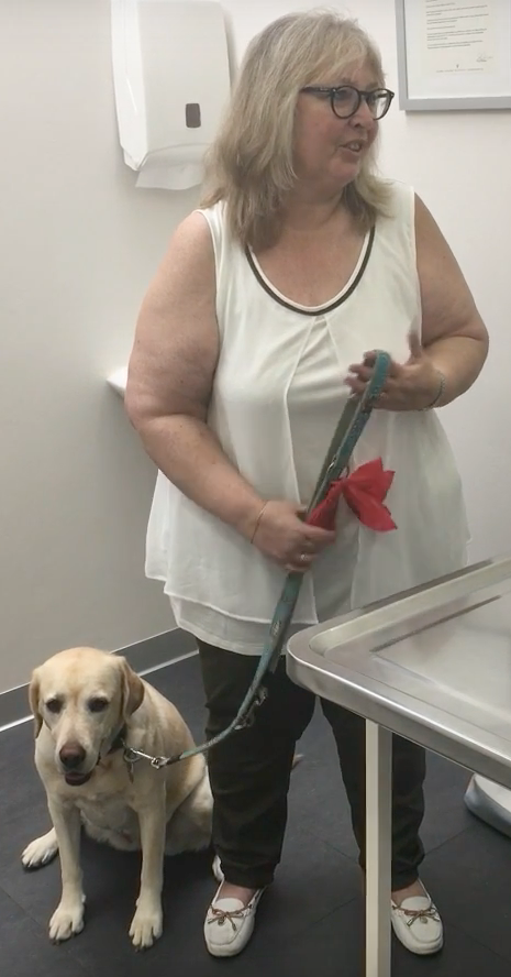 Vétérinaire Coppet, Veterinaire Coppet, Coppet Veterinaire, Coppet Vétérinaire, cabinet vétérinaire Coppet, cabinet veterinaire Coppet, clinique vétérinaire Coppet, vétérinaire de Garde Coppet,veterinaire de Garde Coppet, Cabinet Vétérinaire International