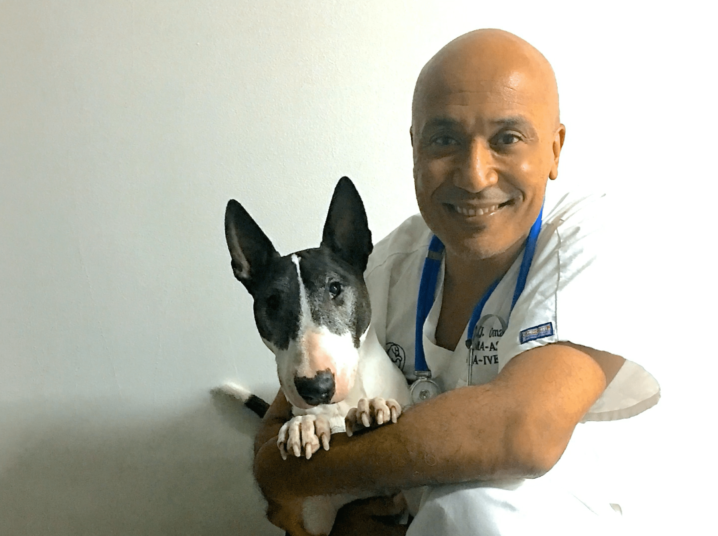 Vétérinaire Coppet, Veterinaire Coppet, Coppet Veterinaire, Coppet Vétérinaire, cabinet vétérinaire Coppet, cabinet veterinaire Coppet, clinique vétérinaire Coppet, vétérinaire de Garde Coppet,veterinaire de Garde Coppet, Cabinet Vétérinaire International